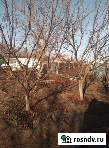 Дача 38 м² на участке 5 сот. на продажу в Широчанке Широчанка - изображение 1