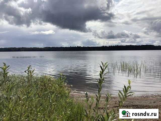 Участок ИЖС 10 сот. на продажу в Красносельском Ленинградской области Красносельское - изображение 1