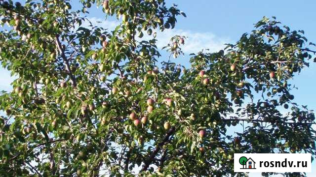 Участок ИЖС 12 сот. на продажу в Миассе Миасс - изображение 1