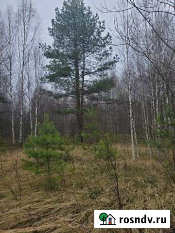 Участок ИЖС 20 сот. в аренду в Яхроме Яхрома - изображение 1