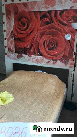 1-комнатная квартира, 30 м², 4/5 эт. в аренду посуточно в Нижнем Новгороде Нижний Новгород - изображение 1