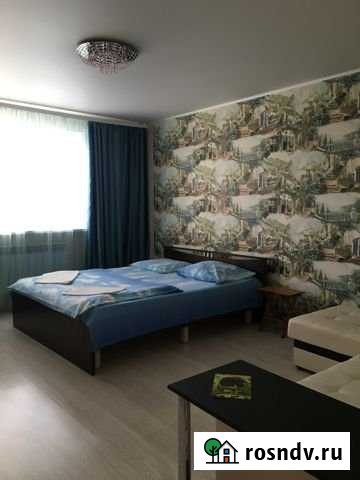 Дом 40 м² на участке 12 сот. в аренду посуточно в Павловске Воронежской области Павловск - изображение 1