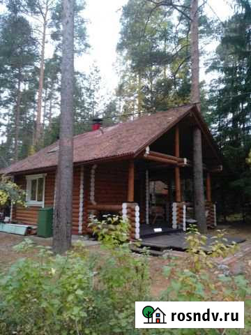 Коттедж 40 м² на участке 12 сот. в аренду посуточно в Сосново Сосново - изображение 1