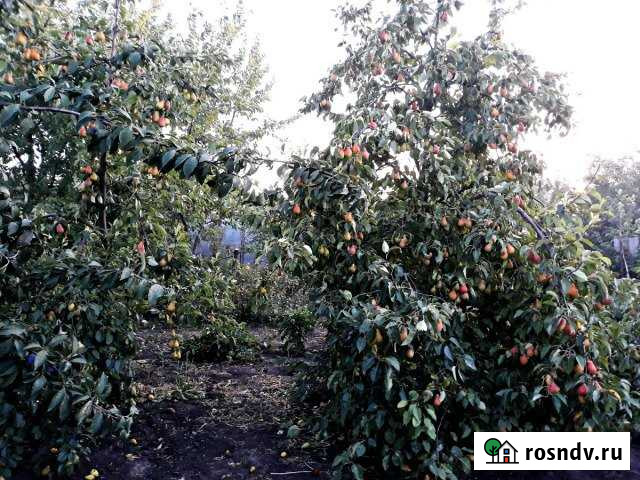 Участок ИЖС 7 сот. на продажу в Старомышастовской Старомышастовская - изображение 1