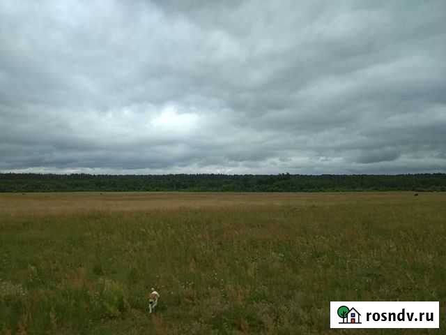 Участок СНТ, ДНП 635 сот. на продажу в Новоржеве Новоржев - изображение 1