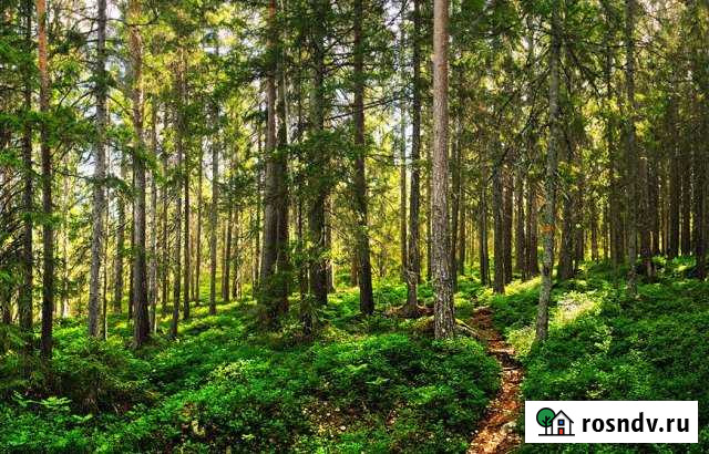 Участок ИЖС 20 сот. на продажу в Байкальске Байкальск - изображение 1