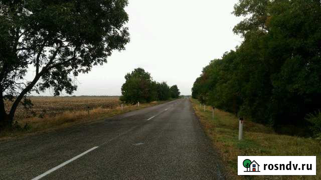 Участок СНТ, ДНП 220 сот. на продажу в Ильском Ильский - изображение 1