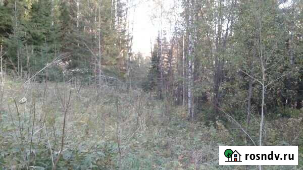 Участок СНТ, ДНП 170 сот. на продажу в Березниках Березники - изображение 1