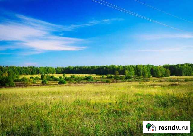 Участок СНТ, ДНП 6 сот. на продажу в Красноармейске Московской области Красноармейск - изображение 1