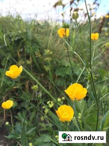 Участок ИЖС 24 сот. на продажу в Старовеличковской Старовеличковская - изображение 1