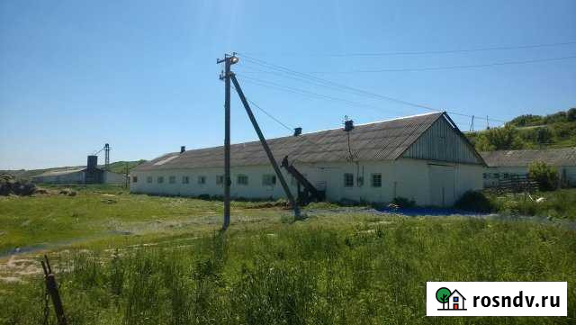 Производственное помещение, 700 кв.м. Россошь - изображение 1