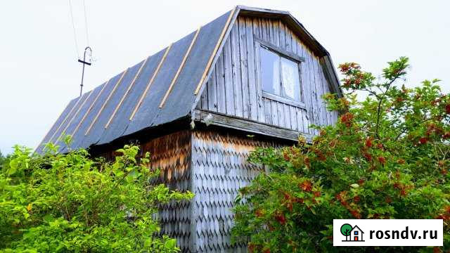 Дача 60 м² на участке 8 сот. на продажу в Комсомольске-на-Амуре Комсомольск-на-Амуре - изображение 1