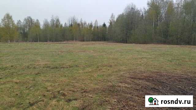 Участок ИЖС 30 сот. на продажу в Коробицыно Коробицыно - изображение 1