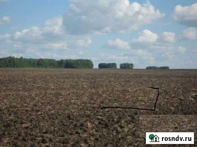 Участок СНТ, ДНП 9300 сот. в аренду в Тюбуке Тюбук - изображение 1