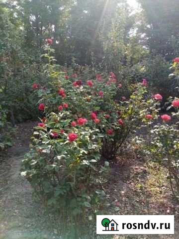 Дом 41 м² на участке 12 сот. на продажу в Дмитриевской Дмитриевская - изображение 1