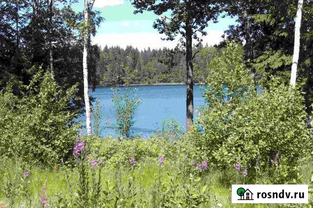 Участок ИЖС 55 сот. на продажу в Рощино Ленинградской области Рощино - изображение 1