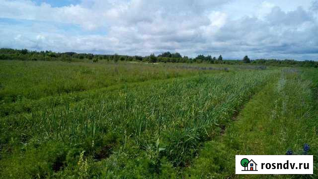 Участок СНТ, ДНП 3360 сот. на продажу в Никологорах Никологоры - изображение 1