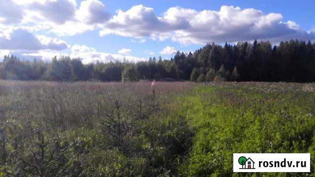 Участок СНТ, ДНП 202 сот. на продажу в Елизаветино Елизаветино - изображение 1