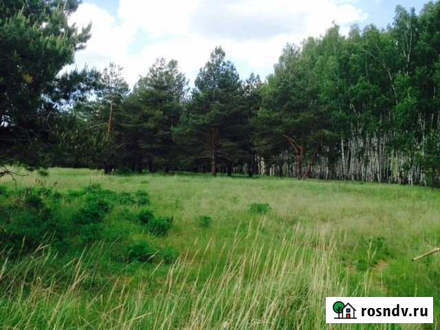 Участок СНТ, ДНП 10 сот. на продажу в Электроизоляторе Электроизолятор - изображение 1