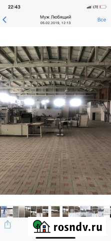 Сдам помещение свободного назначения Северская - изображение 1