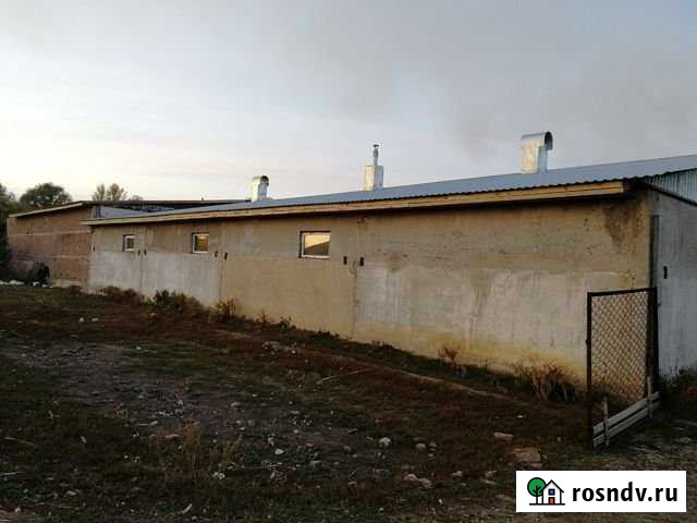 Дача 400 м² на участке 50 сот. на продажу в Рубцовске Рубцовск - изображение 1