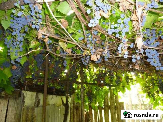 Участок СНТ, ДНП 5 сот. на продажу в Старом Осколе Старый Оскол - изображение 1