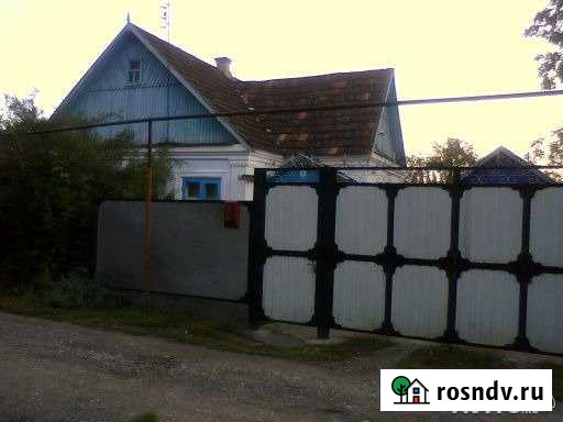 Дом 50 м² на участке 16 сот. на продажу в Солдатской Солдатская - изображение 1