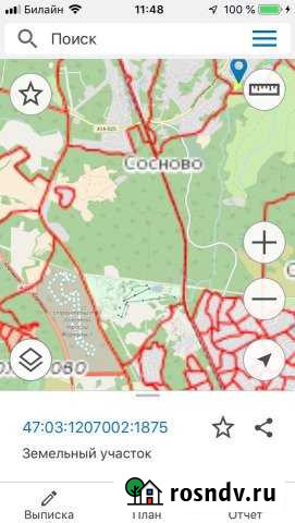 Участок промназначения 200 сот. в аренду в Сосново Сосново - изображение 1