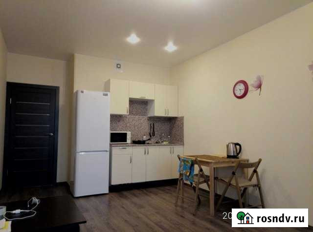 Квартира-студия, 26 м², 13/22 эт. в аренду на длительный срок в Мурино Мурино - изображение 1