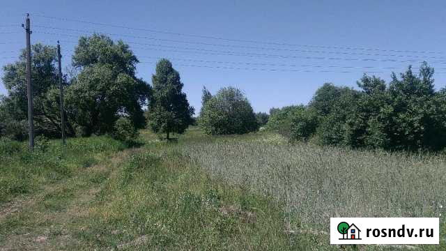 Участок ИЖС 30 сот. на продажу в Добруне Добрунь - изображение 1