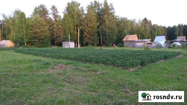 Участок СНТ, ДНП 8 сот. на продажу в Полевском Полевской - изображение 1