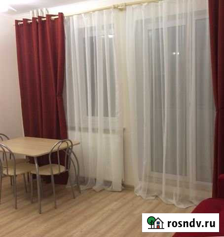 Квартира-студия, 26 м², 6/24 эт. в аренду на длительный срок в Мурино Мурино - изображение 1