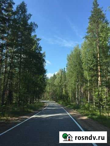 Участок СНТ, ДНП 6 сот. на продажу в Васкелово Васкелово - изображение 1