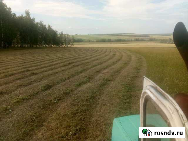 Участок СНТ, ДНП 600 сот. на продажу в Черемхово Черемхово - изображение 1