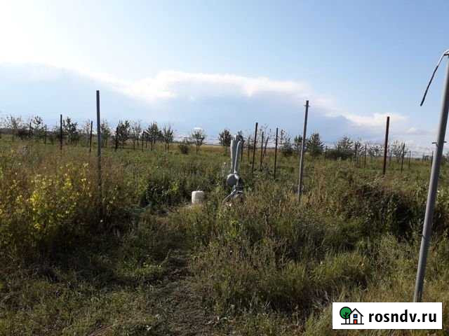 Участок СНТ, ДНП 250 сот. в аренду в Трудобеликовском Трудобеликовский - изображение 1