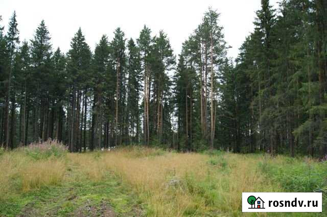 Участок ИЖС 10 сот. на продажу в Ревде Свердловской области Ревда - изображение 1