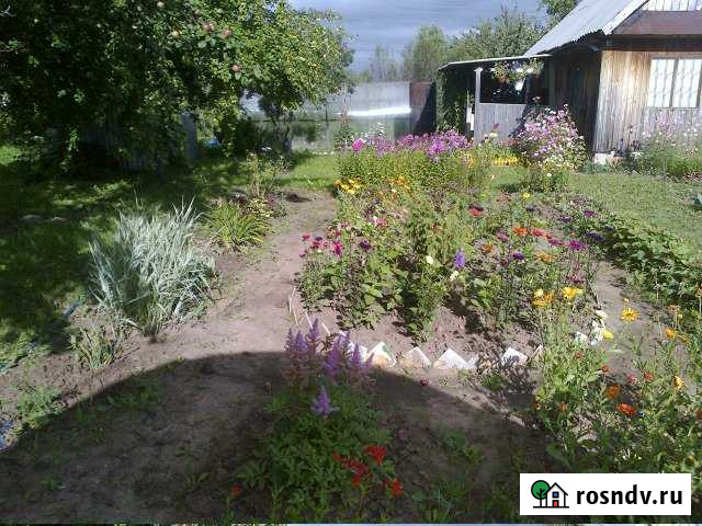 Дача 20 м² на участке 8 сот. на продажу в Завьялово Республики Удмуртия Завьялово - изображение 1