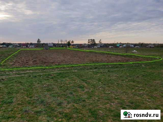 Участок ИЖС 25 сот. на продажу в Елизаветино Елизаветино - изображение 1