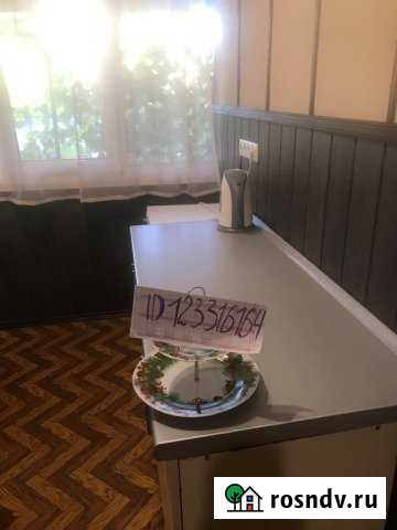 Дом 55 м² на участке 1 сот. в аренду посуточно в Сочи Сочи - изображение 1