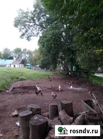 Участок ИЖС 16 сот. на продажу в Краскино Краскино - изображение 1