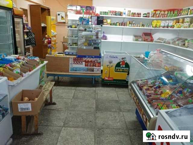 Продуктовый магазин с оборудованием Чердаклы - изображение 1