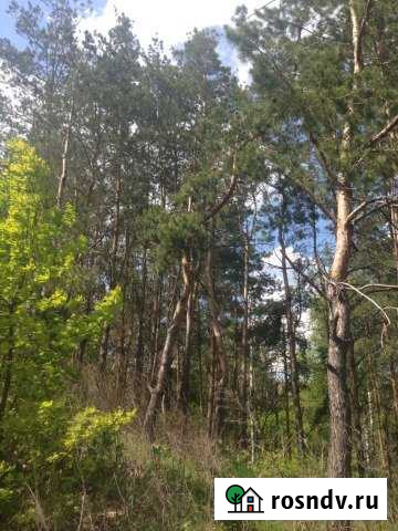 Участок ИЖС 30 сот. на продажу в Рамони Рамонь - изображение 1