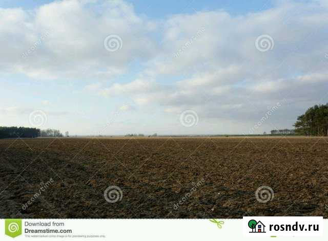 Участок СНТ, ДНП 830 сот. на продажу в Целине Целина - изображение 1