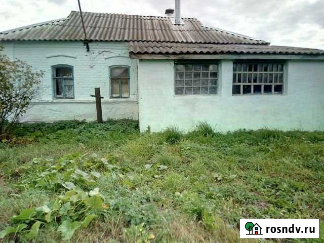 Дом 40 м² на участке 43 сот. на продажу в Лесном Рязанской области Лесной - изображение 1