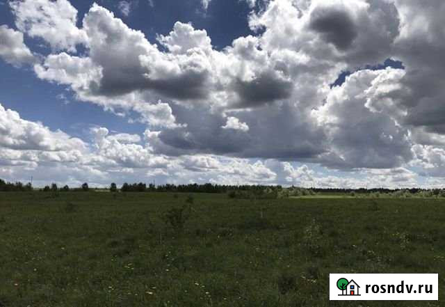 Участок ИЖС 1450 сот. на продажу в Вахрушах Вахруши - изображение 1