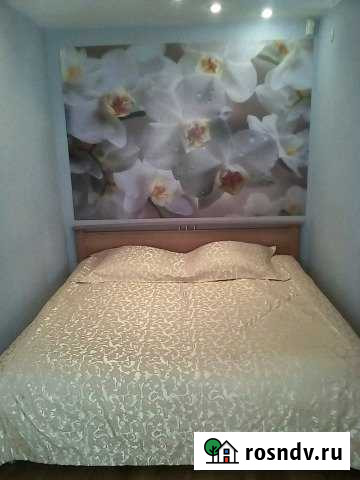 2-комнатная квартира, 48 м², 4/5 эт. в аренду посуточно в Иркутске Иркутск - изображение 1