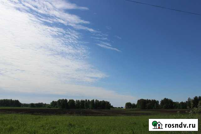 Участок СНТ, ДНП 11 сот. на продажу в Верху-Туле Верх-Тула - изображение 1