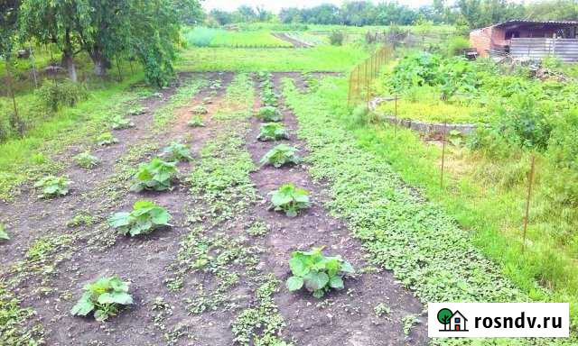 Участок ИЖС 13 сот. на продажу в Староминской Староминская - изображение 1