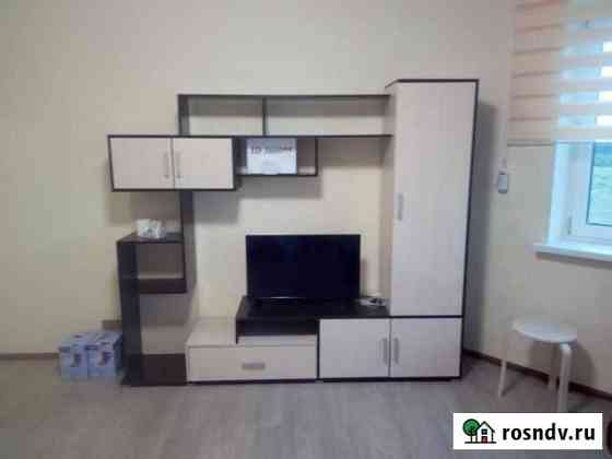 Квартира-студия, 30 м², 15/17 эт. в аренду посуточно в Домодедово Домодедово
