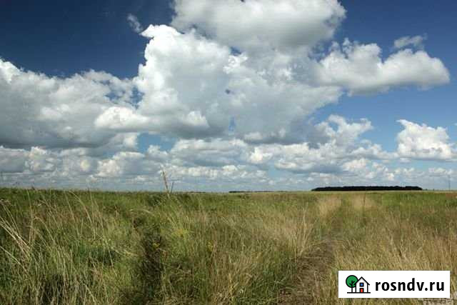 Участок СНТ, ДНП 1830 сот. на продажу в Мокроусово Мокроусово - изображение 1